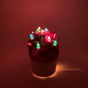 Milltown Merchants Red Christmas LED Succulent Cactus Tabletop Centerpiece Lamp